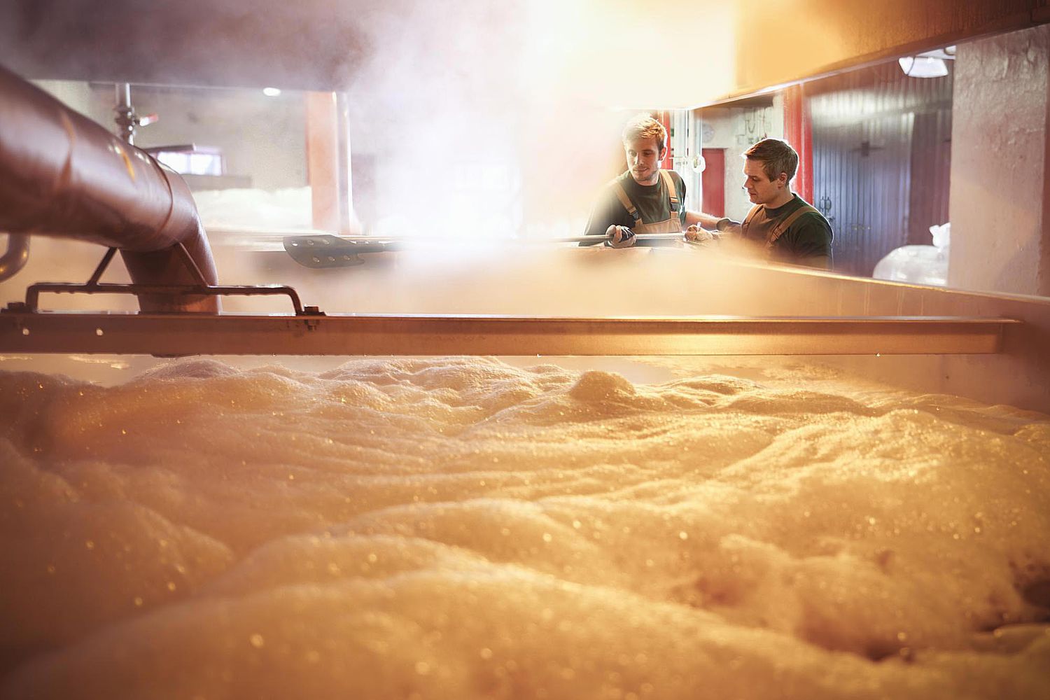 Boiling wort with hops